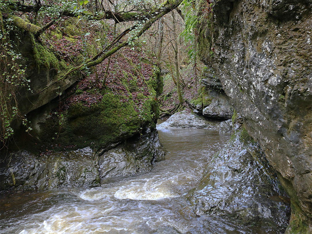 Bend along the river