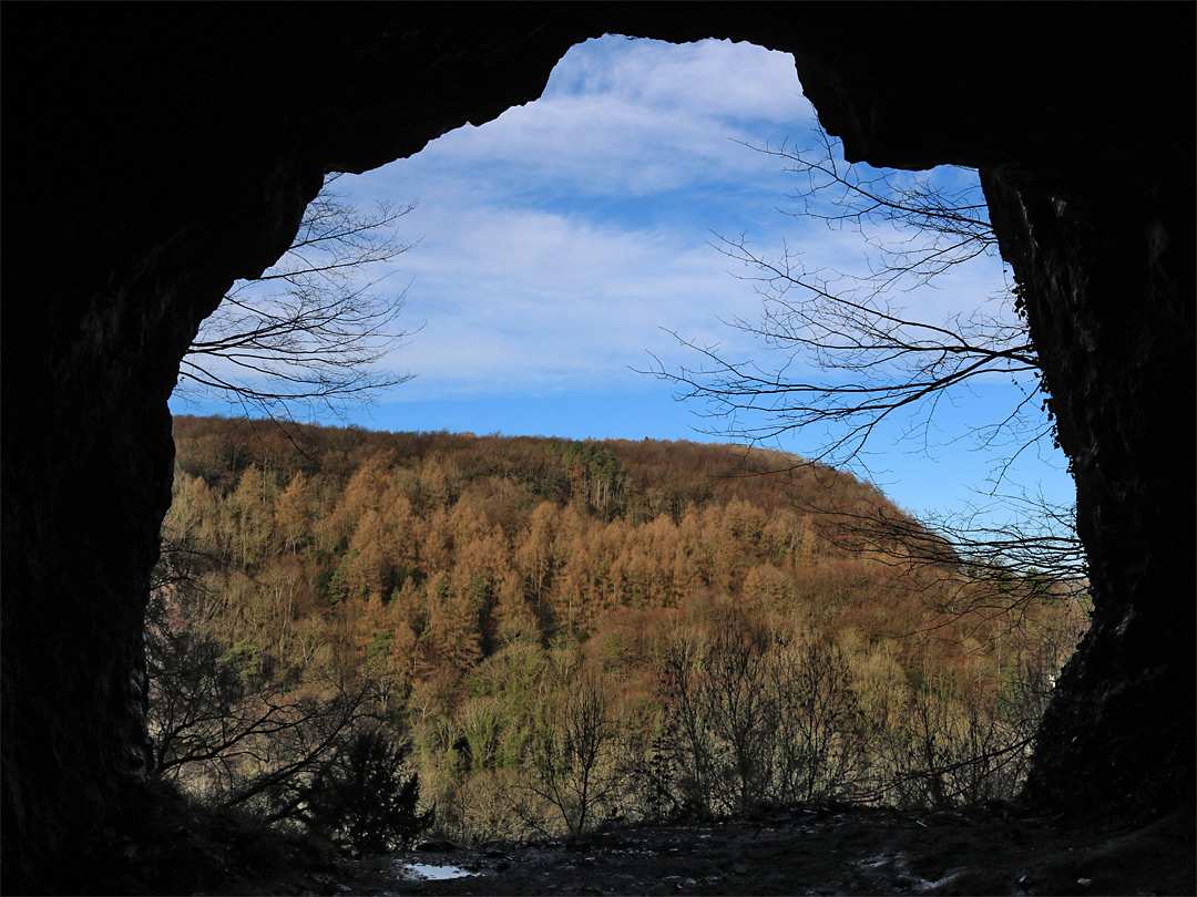 View from a cave