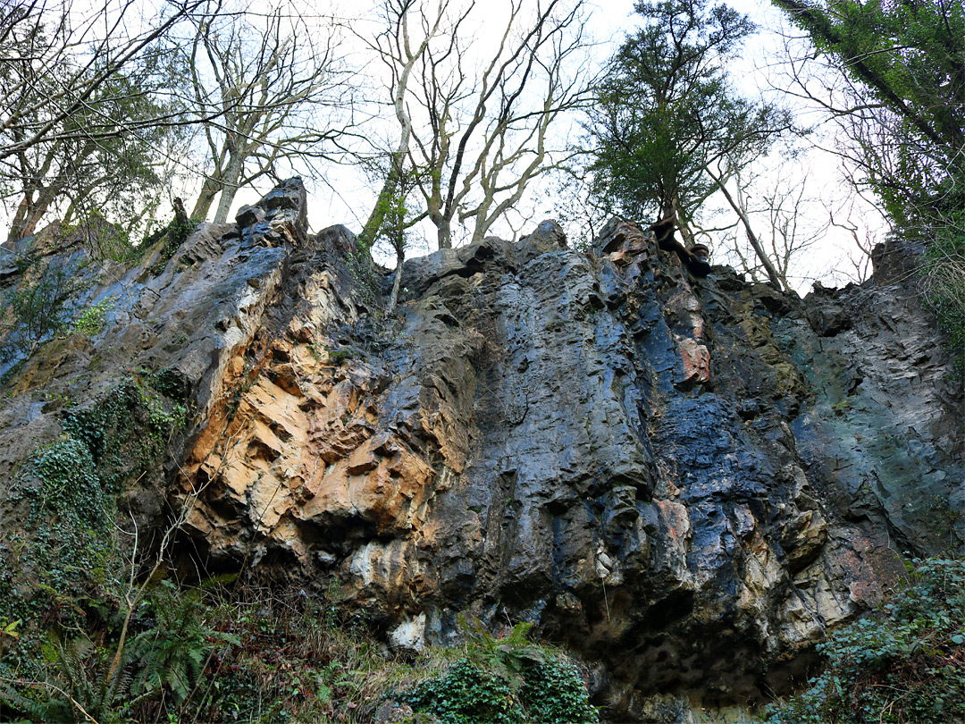 Limestone cliffs