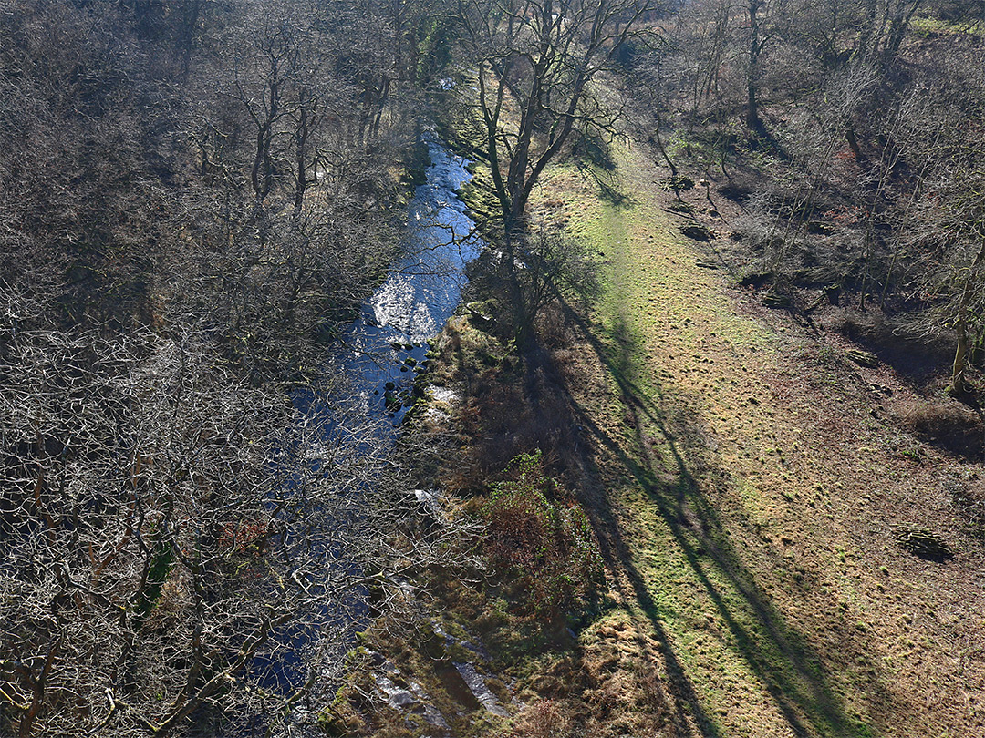 Shadows on the river