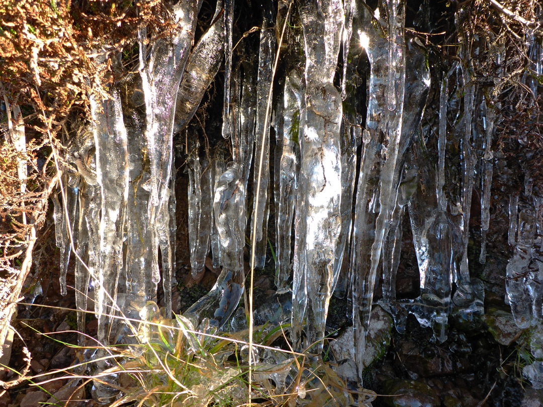 Icicles