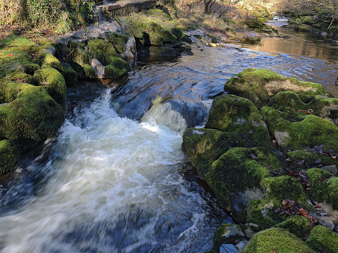 Cascade and mossy rocks