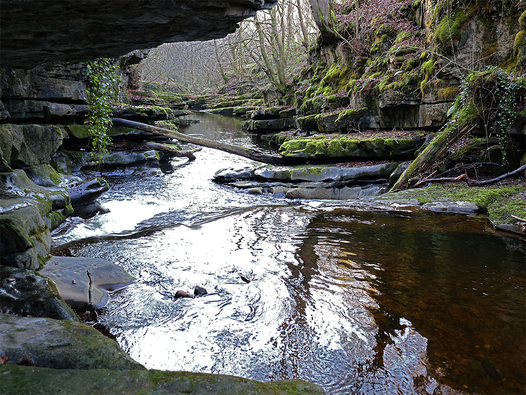 Low cliffs