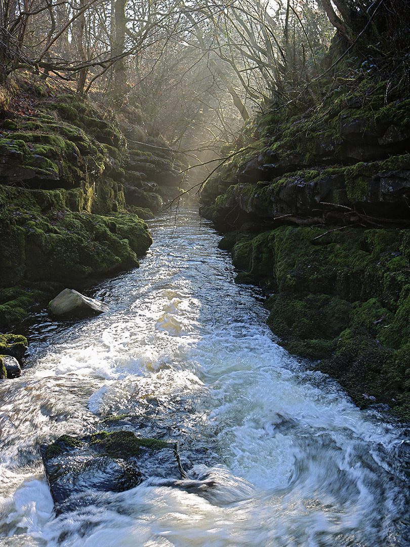 Sunlight and shadows