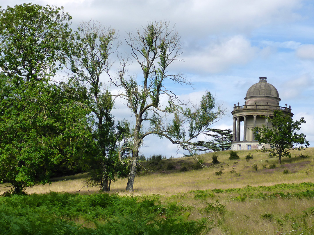 Trees below the temple