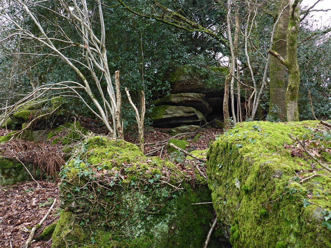 Mossy boulders