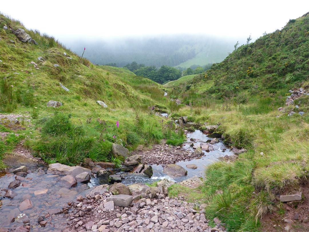 Stream and misty hills