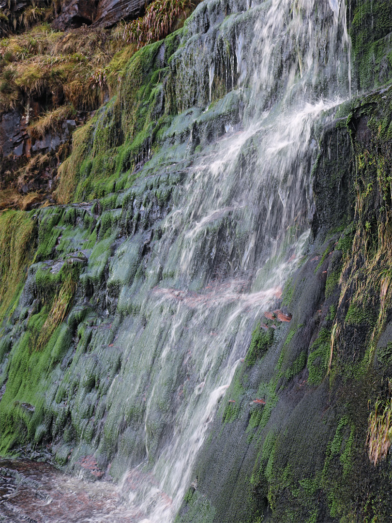 Mossy cliff face