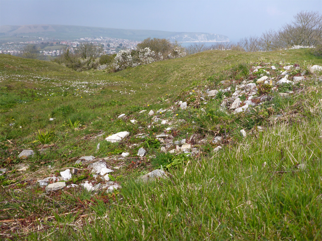 Stony grassland