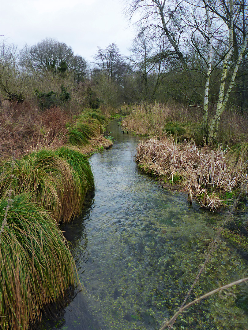 Chalk stream