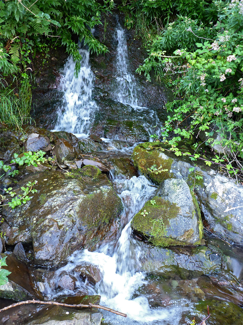 Stream from Twitchin Combe