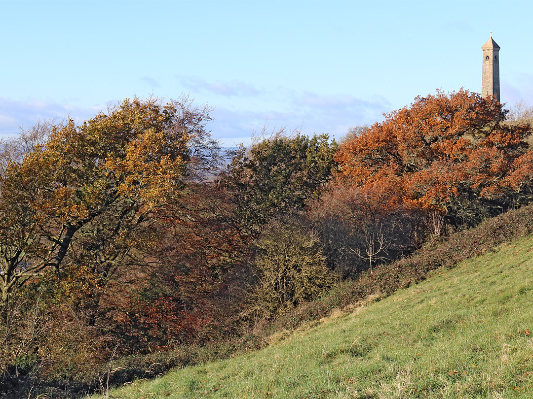 Trees near the monument