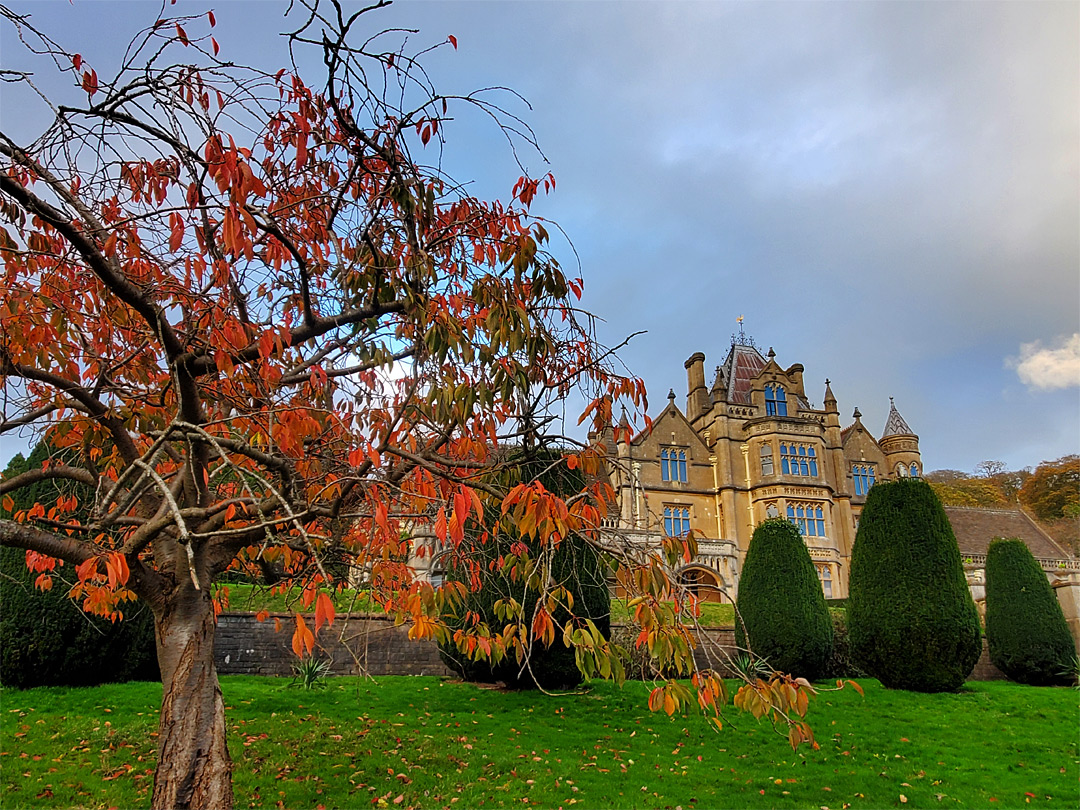 Gardens, in autumn