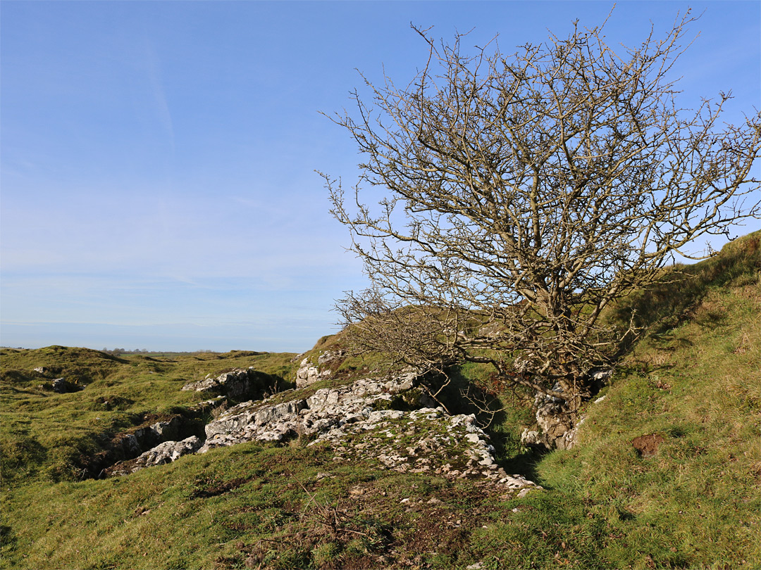 Limestone outcrop