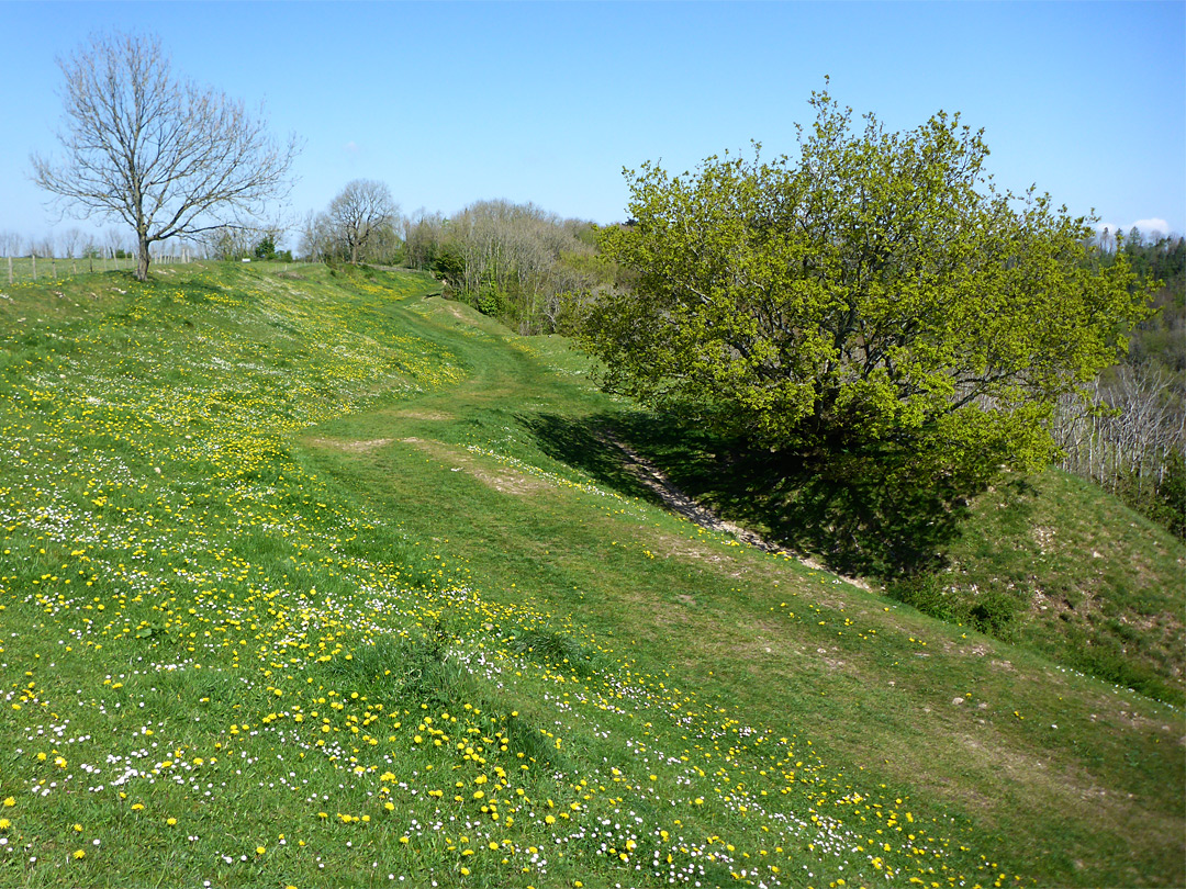 Grassy slope