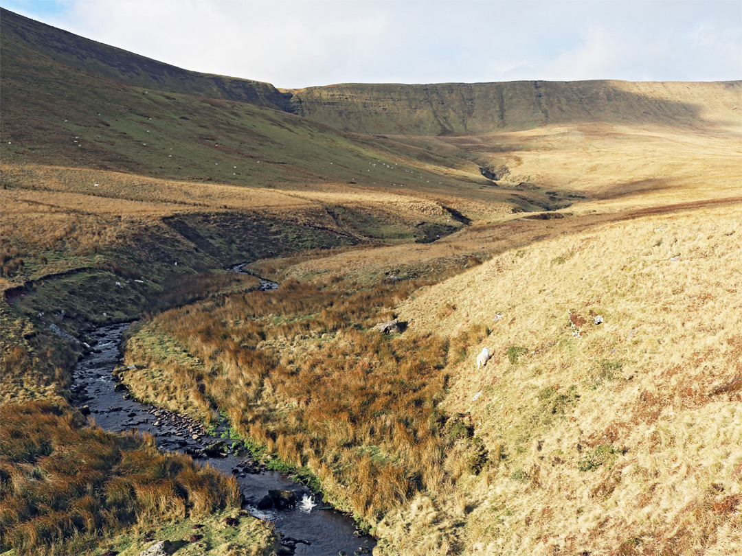 Grassy valley