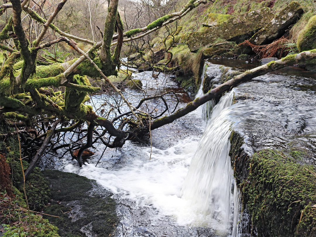 Small cascade