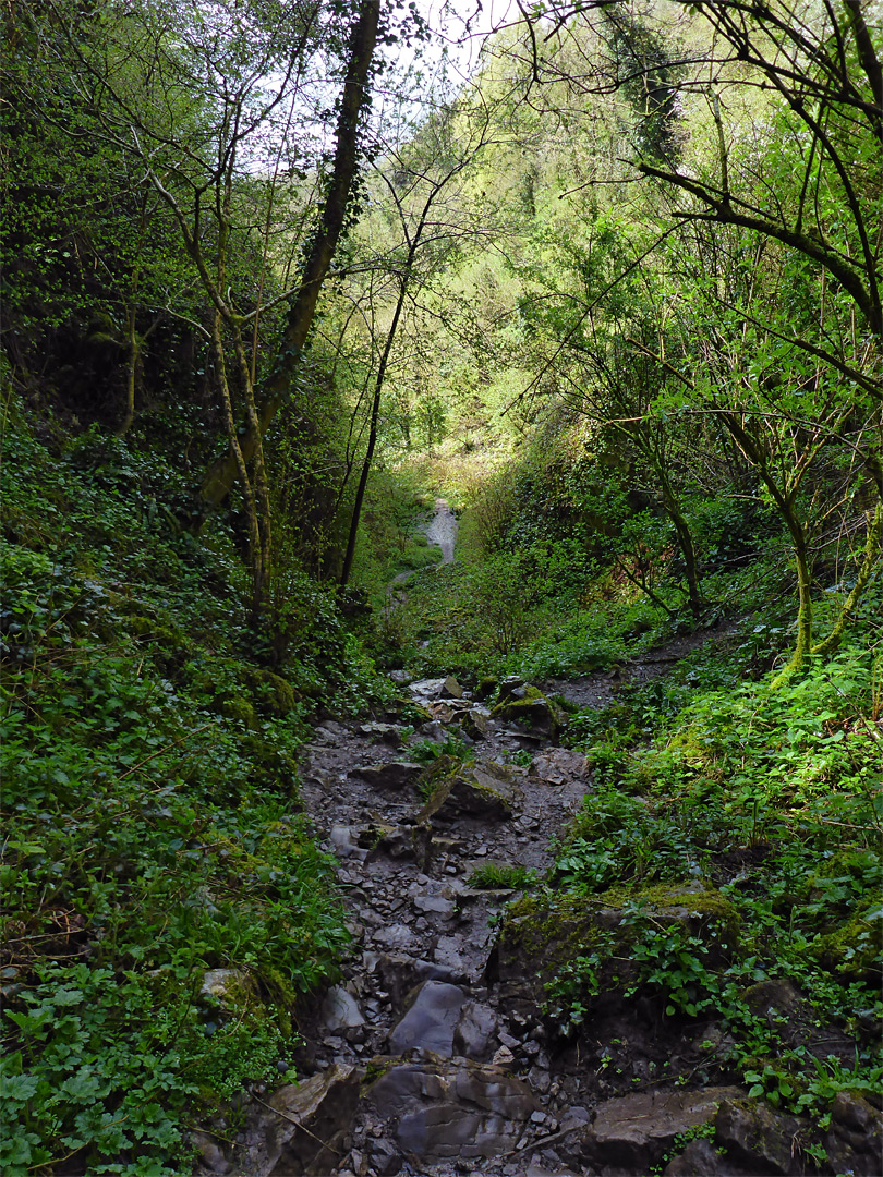 Upper end of the gorge