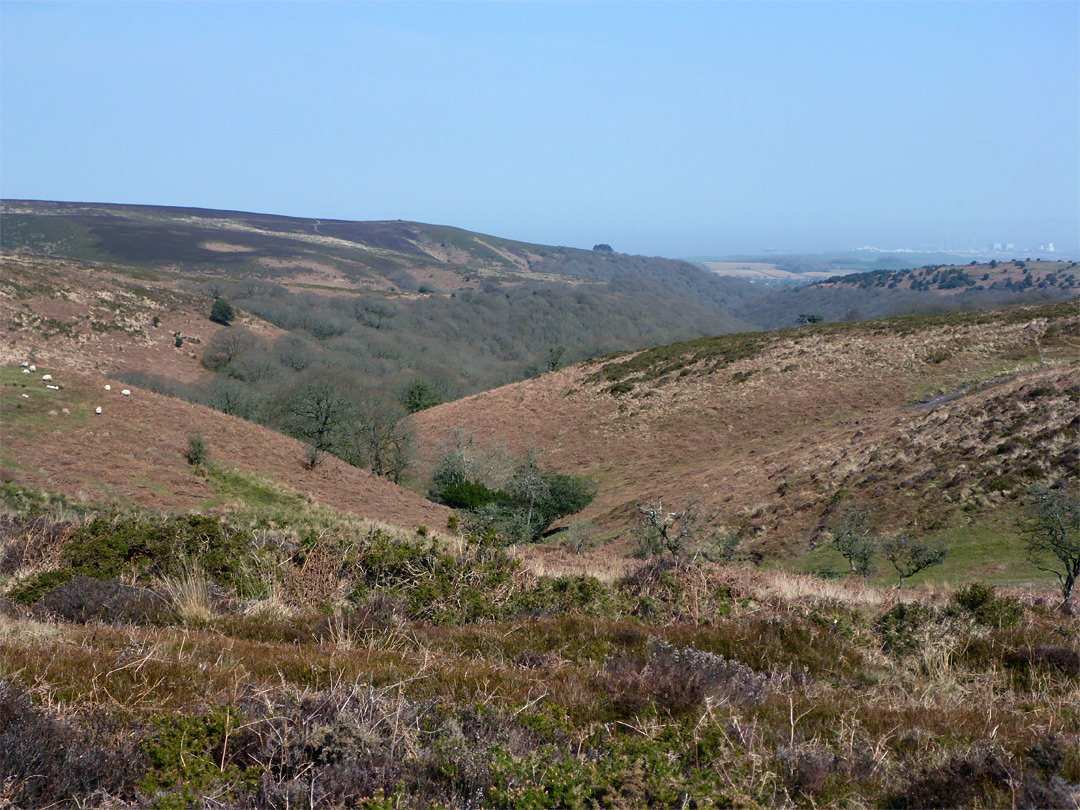 Bracken-covered slopes