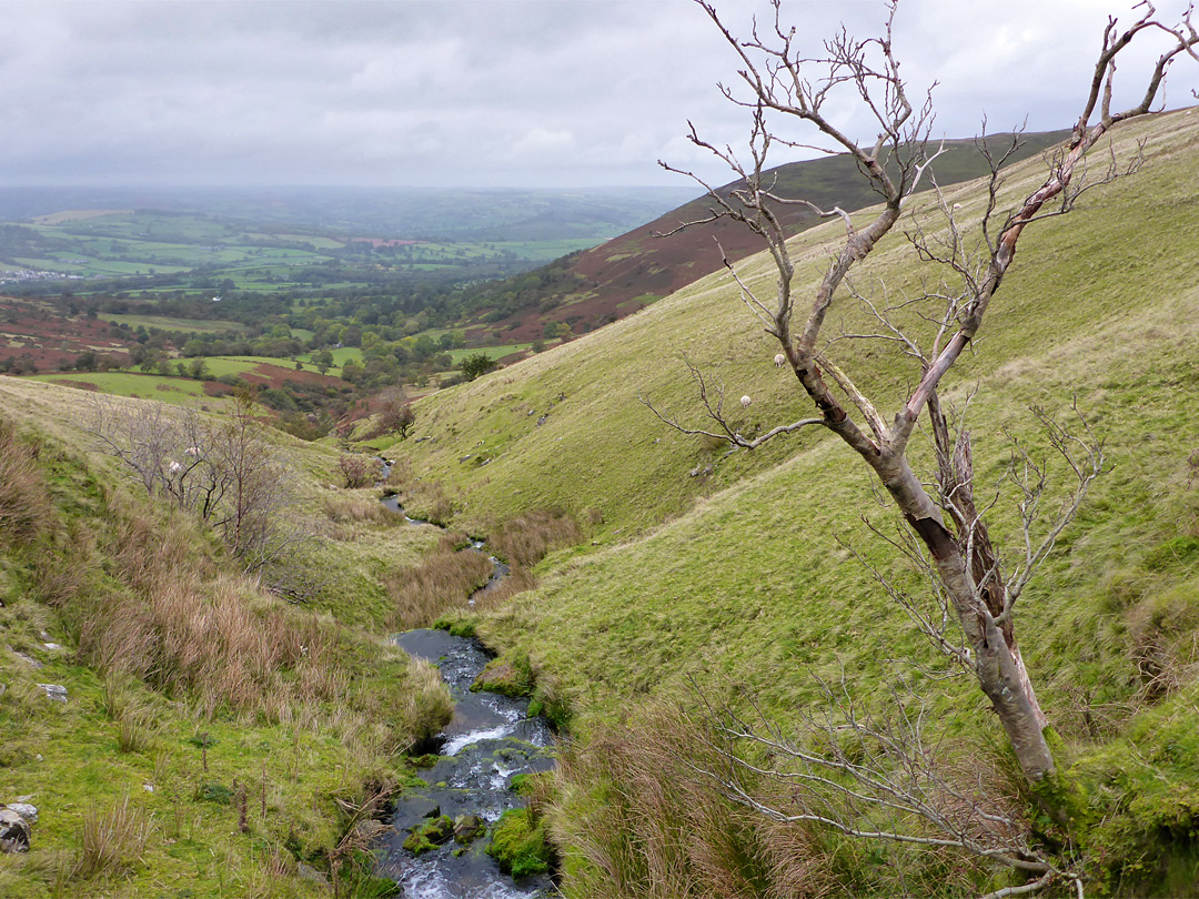 View downstream