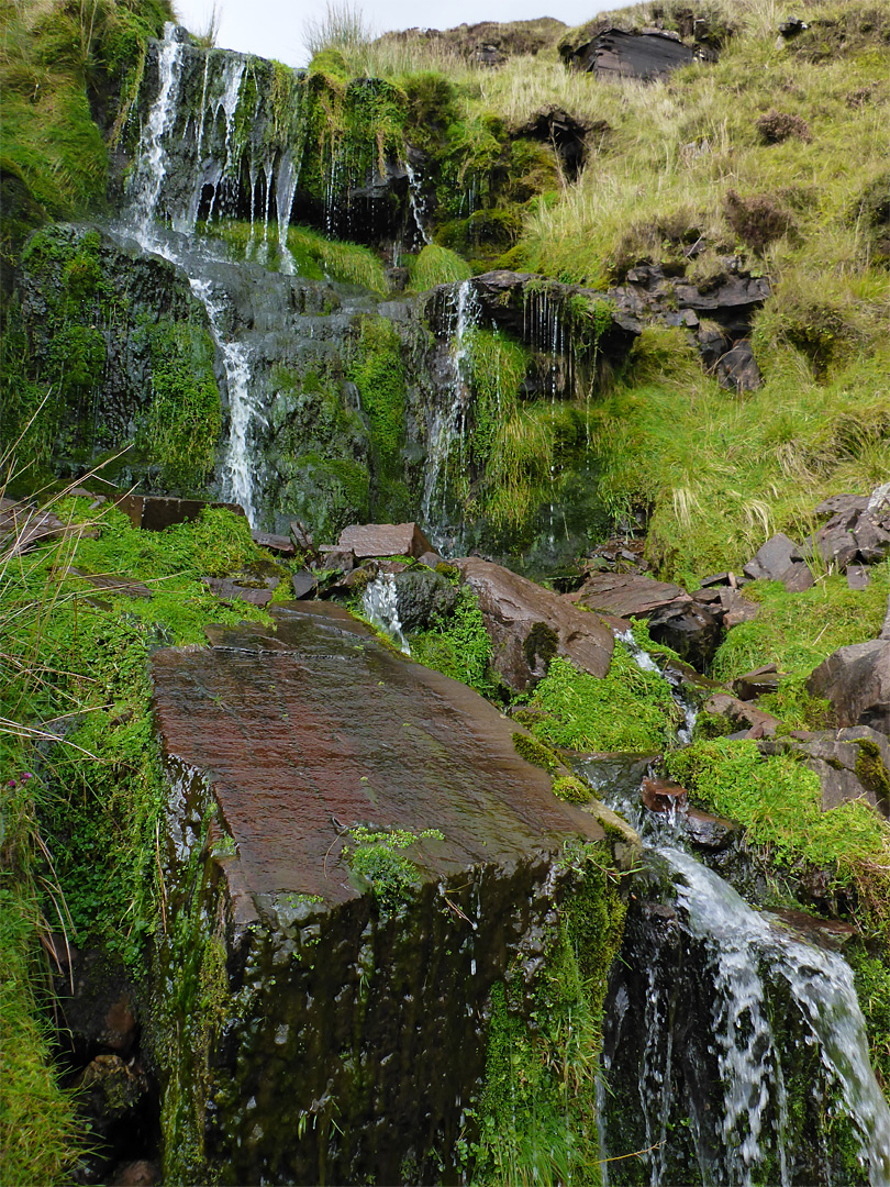 Dripping falls