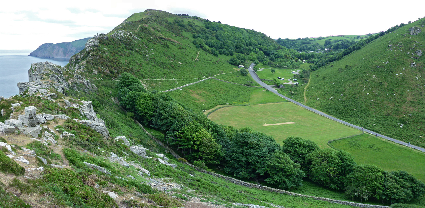 Trees in the valley