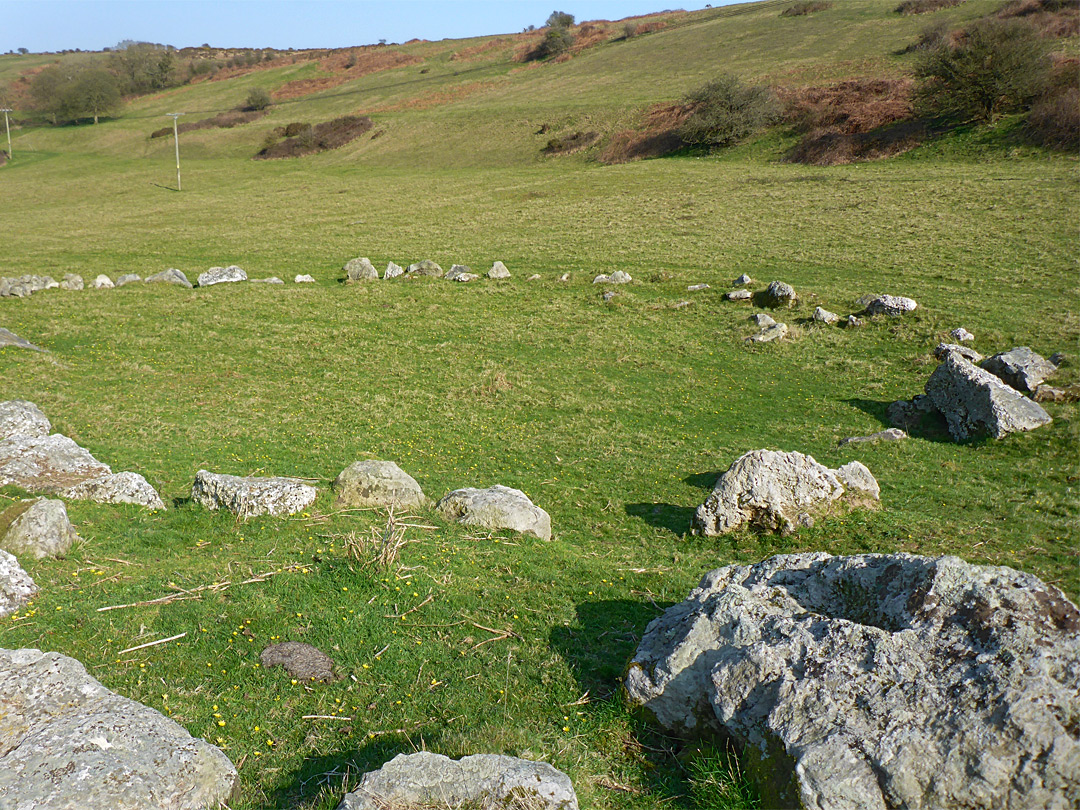 Grass and stones