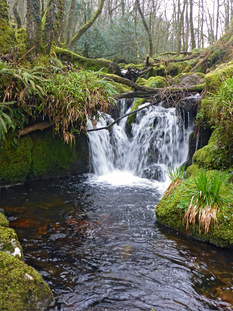 Waterfall and pool