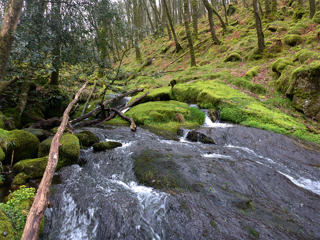 Stream and cascade