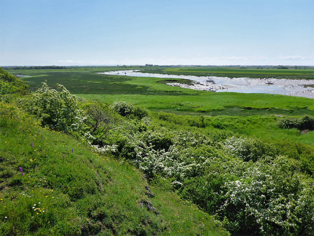 Hill beside the River Axe