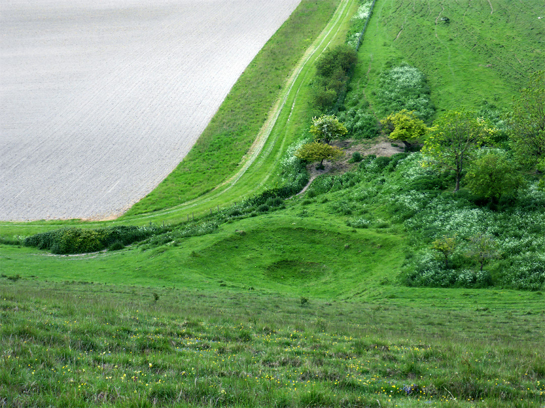 Edge of a field