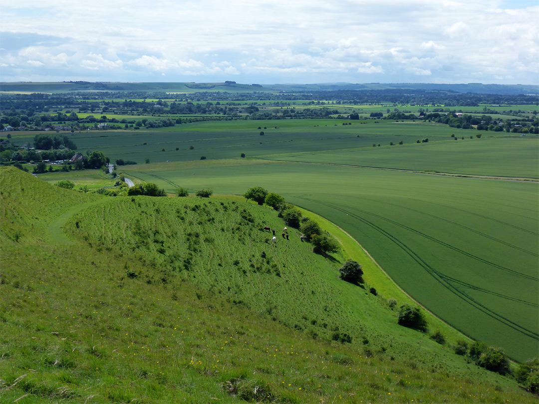 South of Walker's Hill