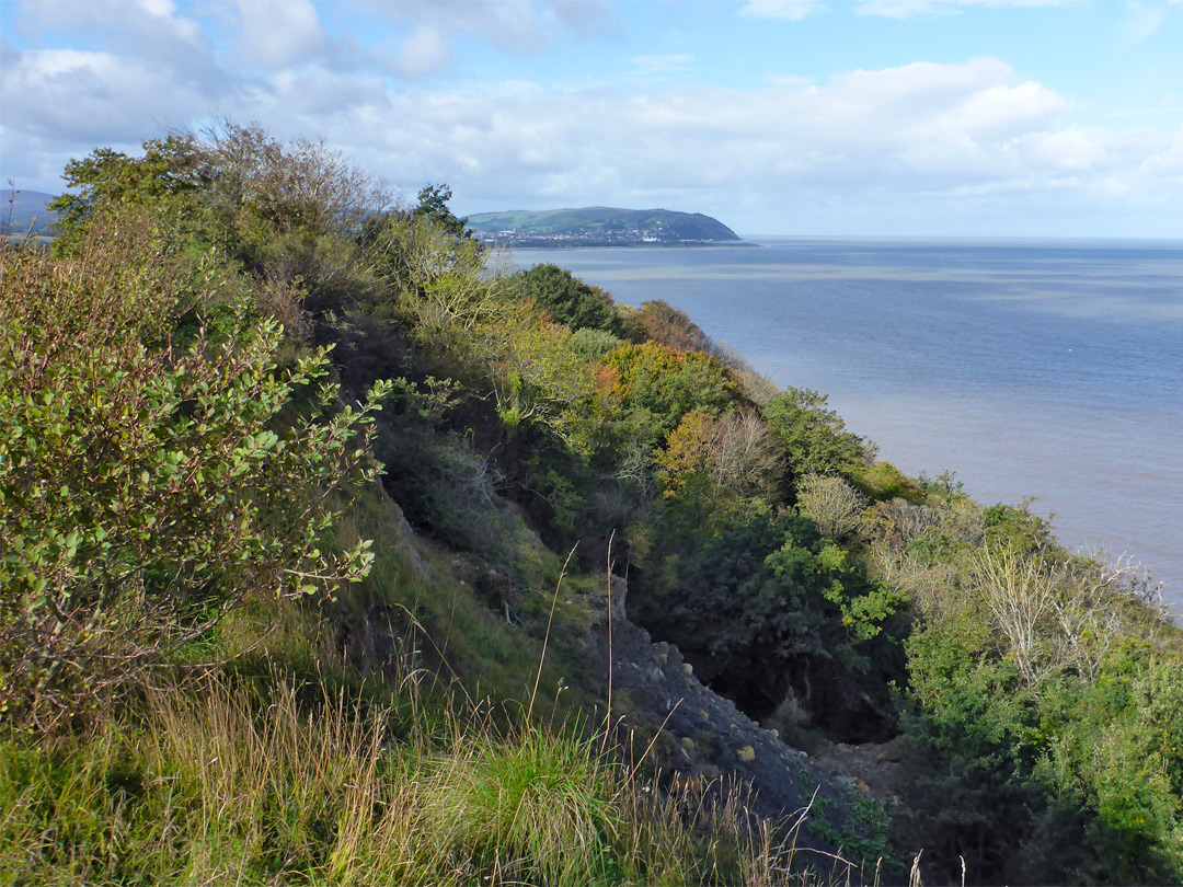 Bushy ridge