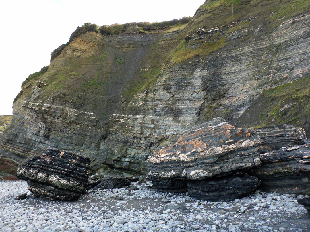 Blue lias cliff