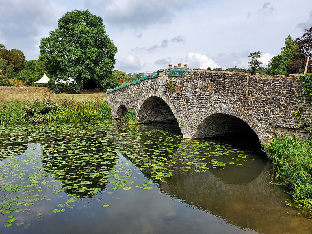 Bridge over a lake