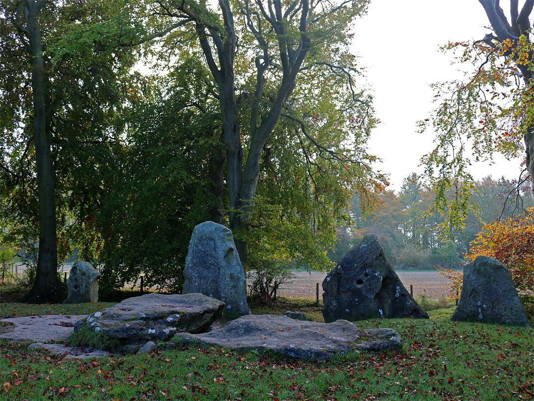 Rear of the upright stones