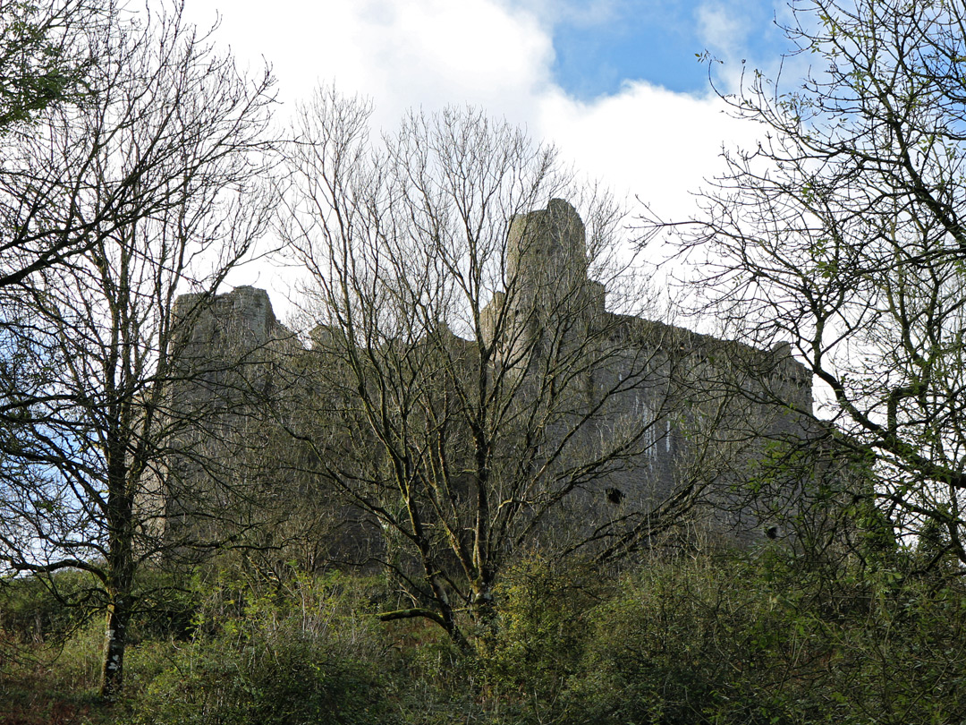 Trees to the north