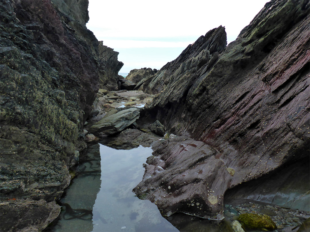 Rock pool