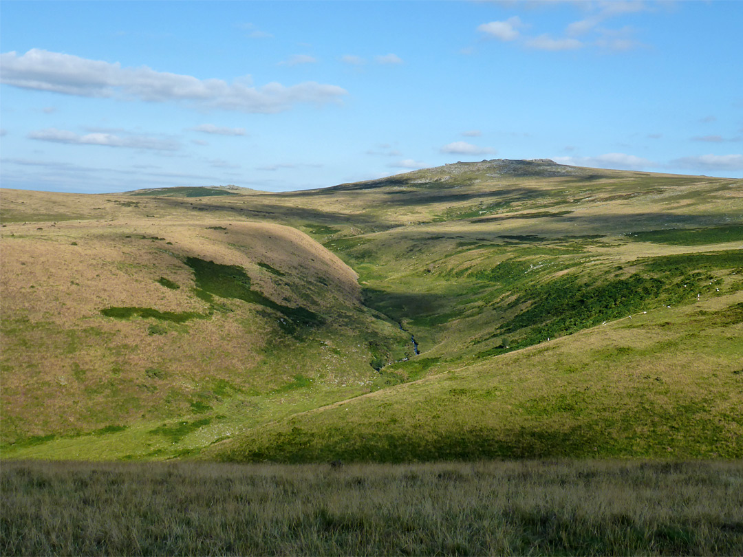 West Mill Tor