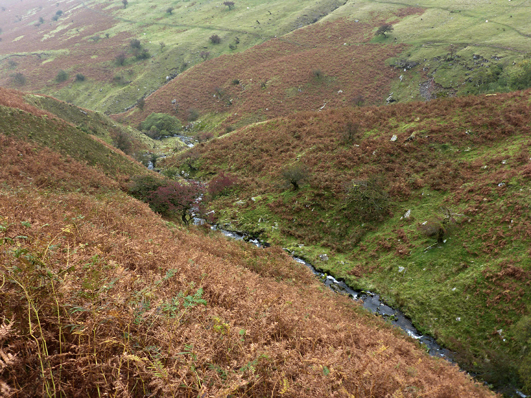 West branch of the stream