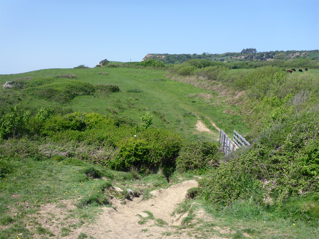 Bridge over Westhay Water