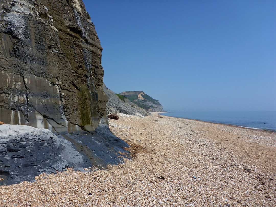 Beach east of Westhay Water