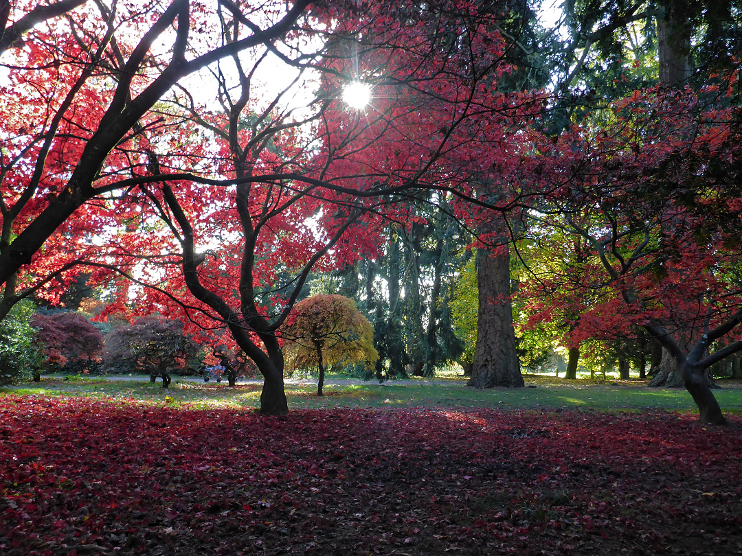 Autumnal sunshine