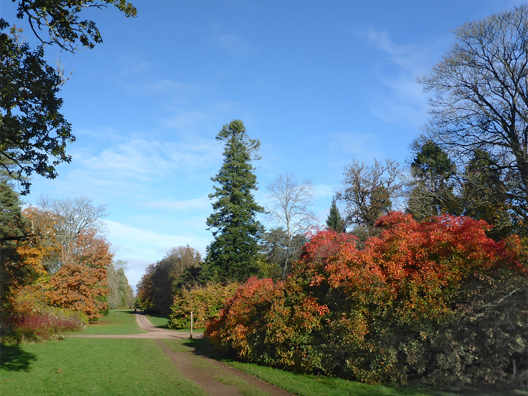 South end of Green Lane