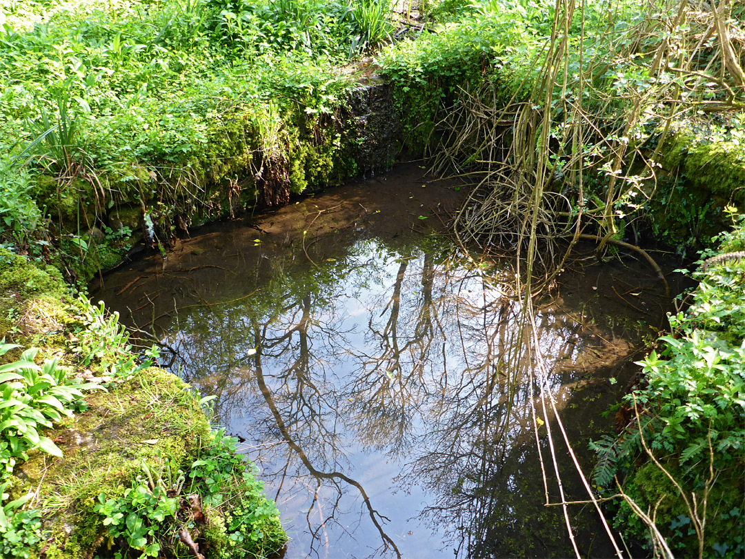 White Well