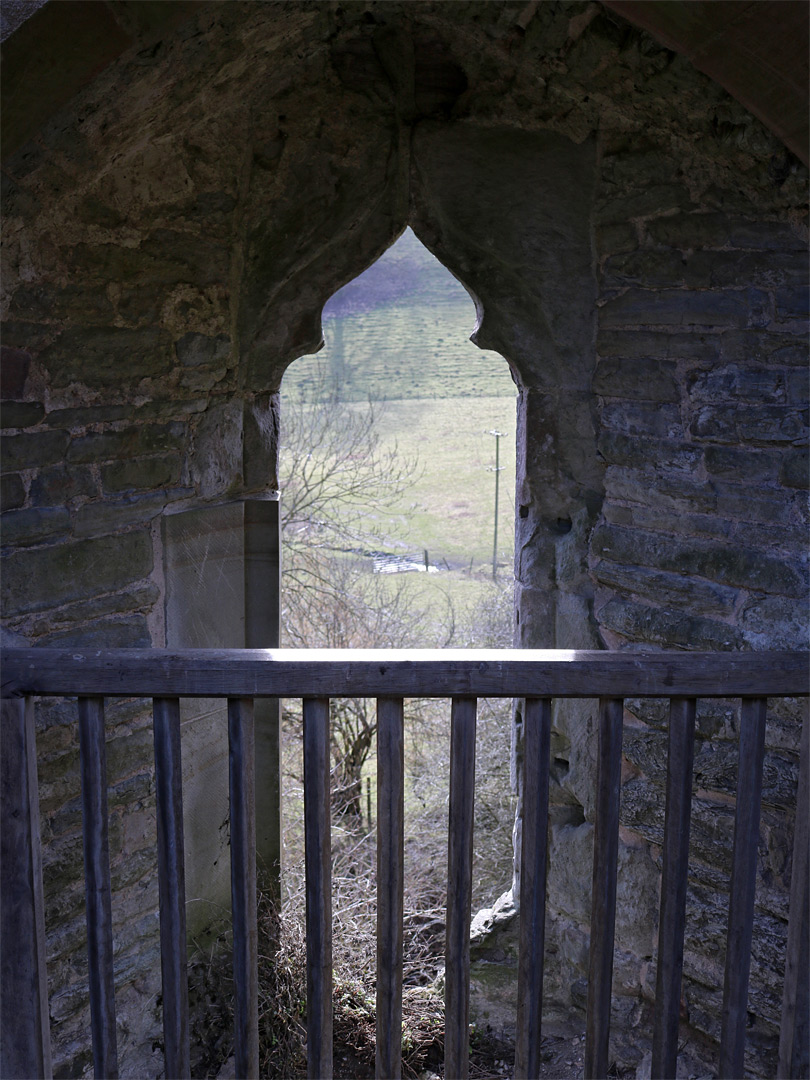 Trefoil window