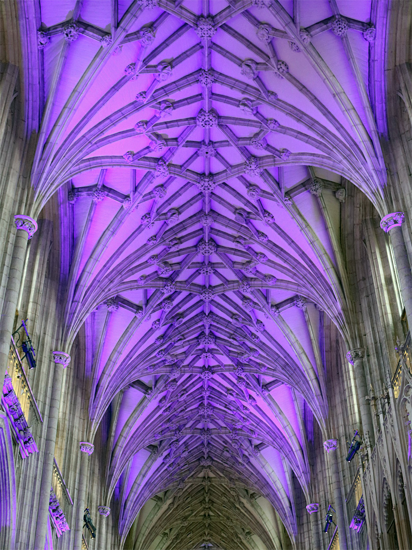 Ceiling of the nave