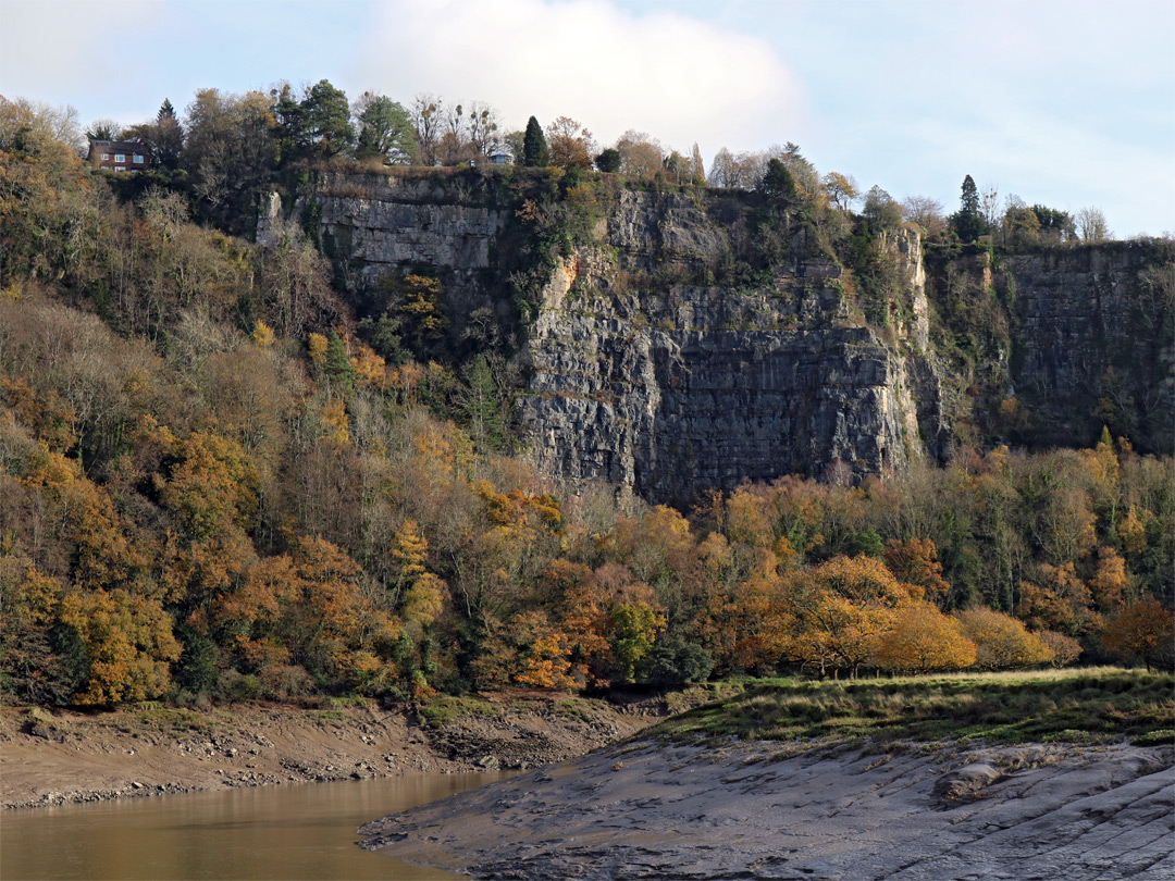 Cliffs of Wintour's Leap