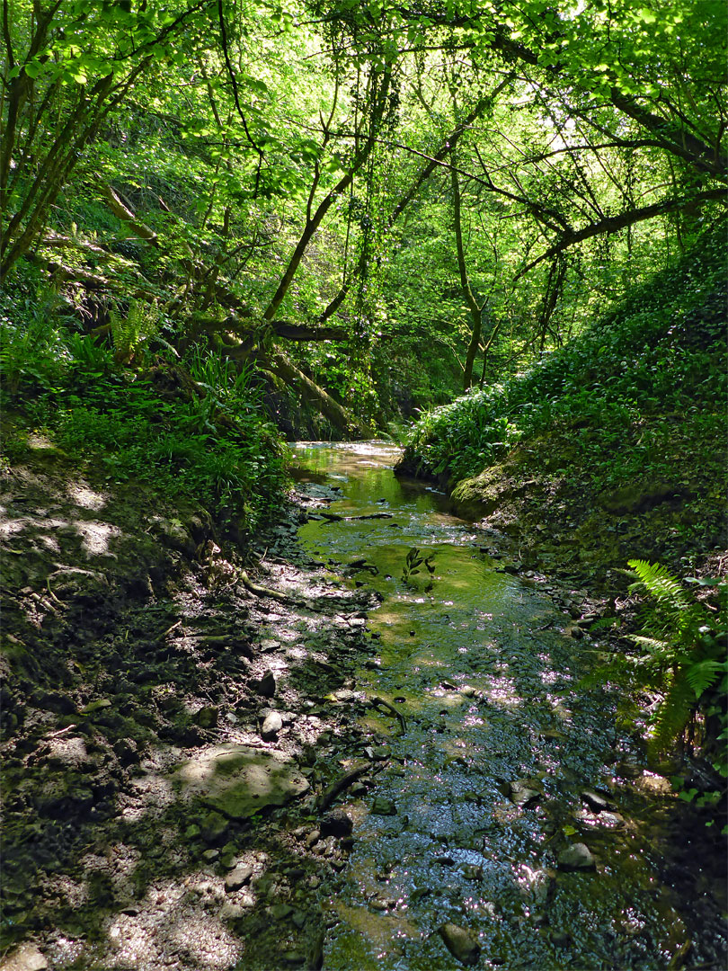 Stream above the waterfall