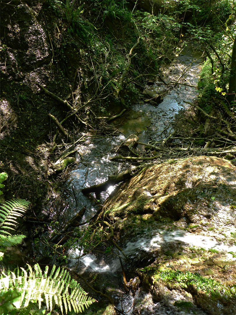 Stream below the falls